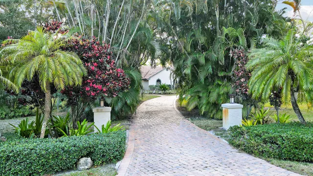 a view of a flower in a garden