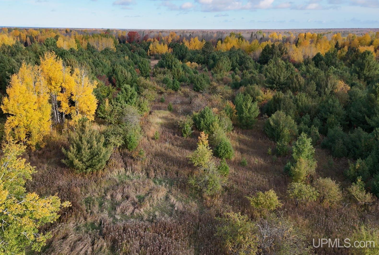 Tbdc20 South Firesteel Road Ontonagon, MI 49953 - Photo 3 of 11