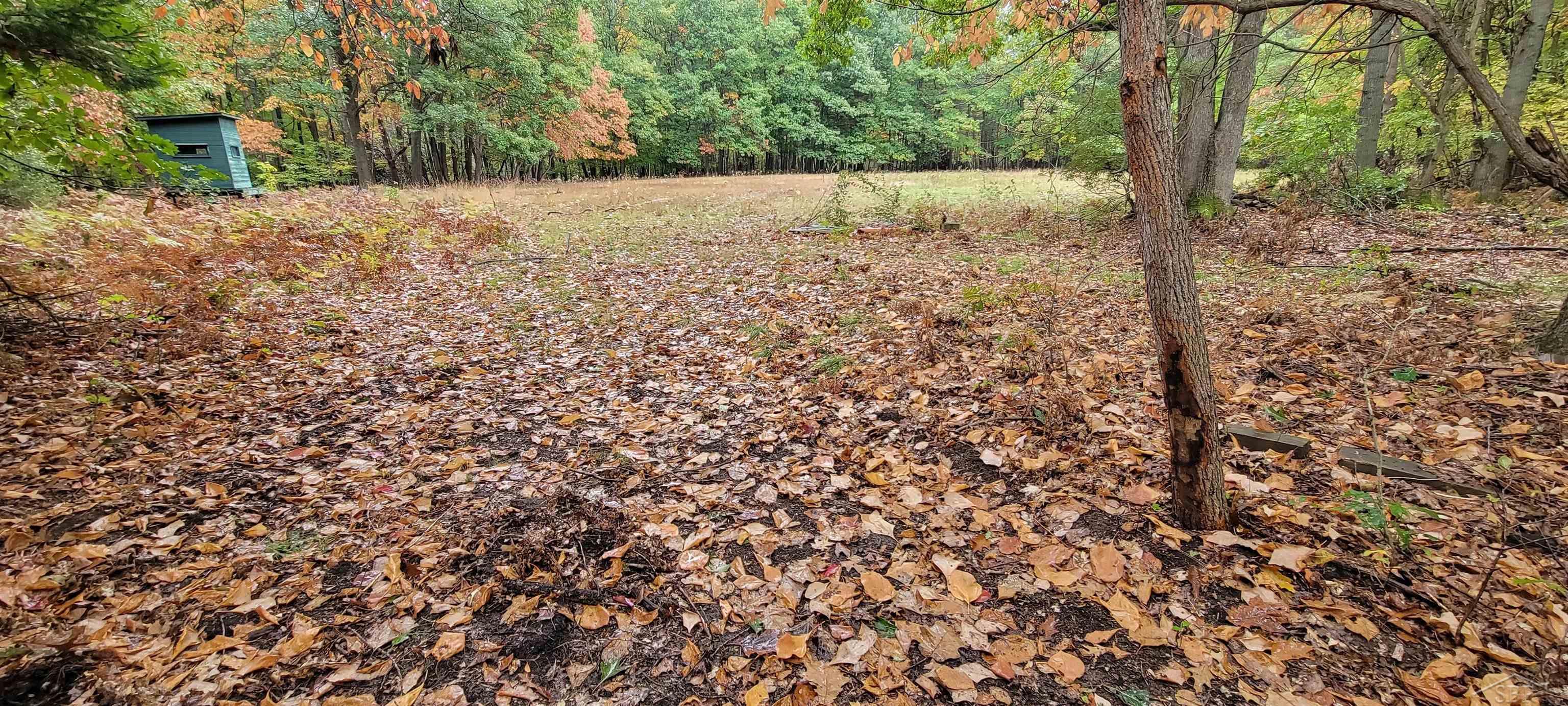 13799 Beaver Road St. Charles, MI 48655 - Photo 52 of 76 50125064-51.JPG