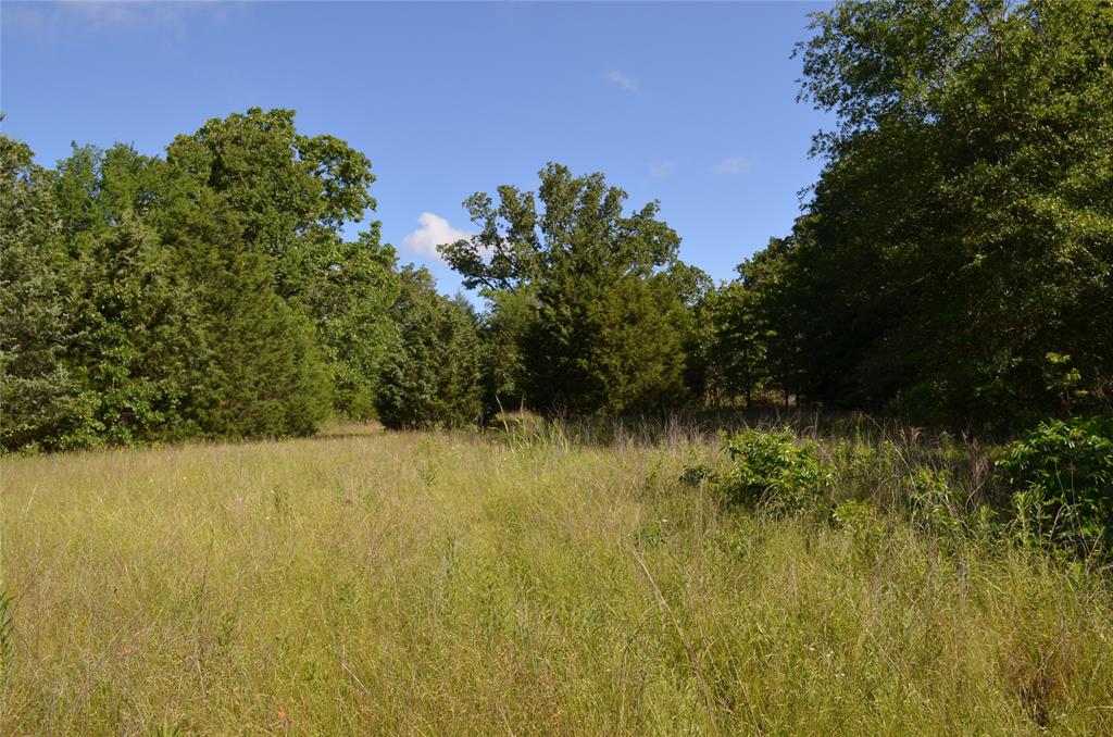 760 County Road, Unit 2315 Eustace, TX 75124 - Photo 7 of 19 a view of a lake view