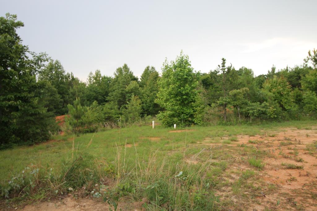 Crymes Road, Unit 13A Victoria, VA 23974 - Photo 4 of 9 Gallery Image 4
