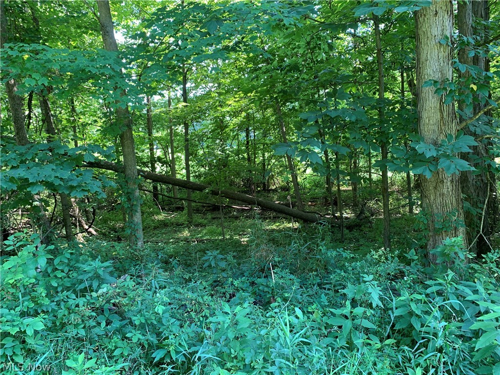 Walnut Valley Road Wellington, OH 44090 - Photo 21 of 32 Gallery Image 21