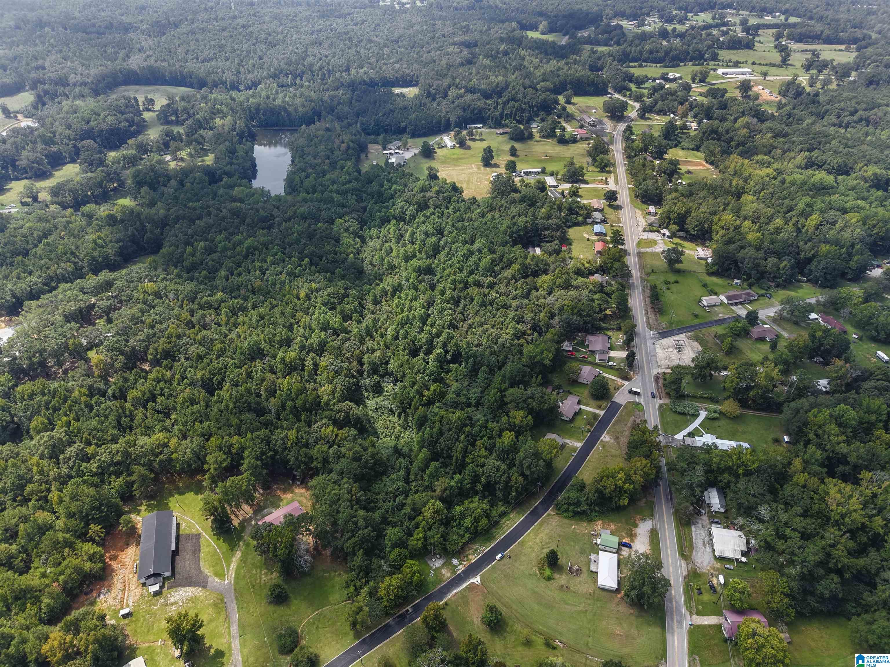 0 Sycamore Street, Unit 1 Jemison, AL 35085 - Photo 17 of 25