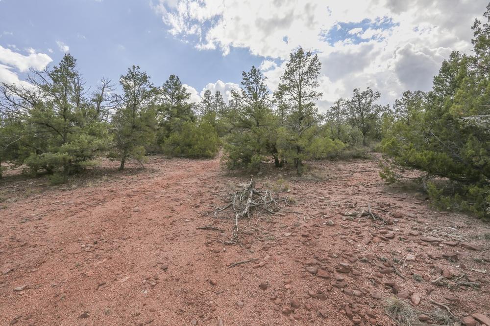 1200 West Airport Road Payson, AZ 85541 - Photo 42 of 50