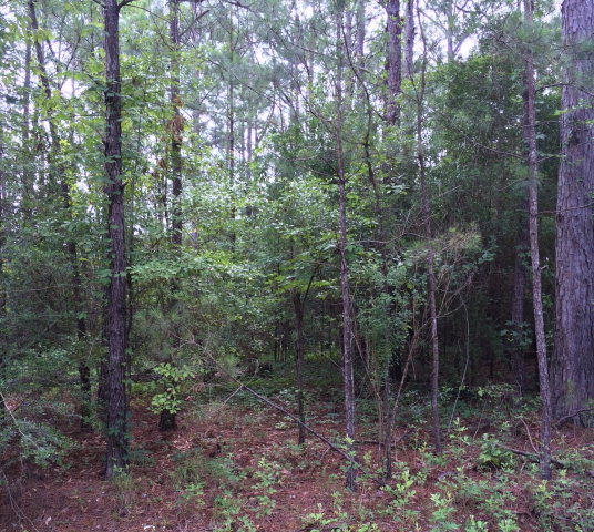 104 Greenview Circle Dothan, AL 36301 - Photo 1 of 1