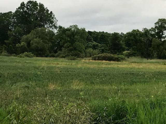 0 Jerome Road South Pittsford, MI 49271 - Photo 5 of 6