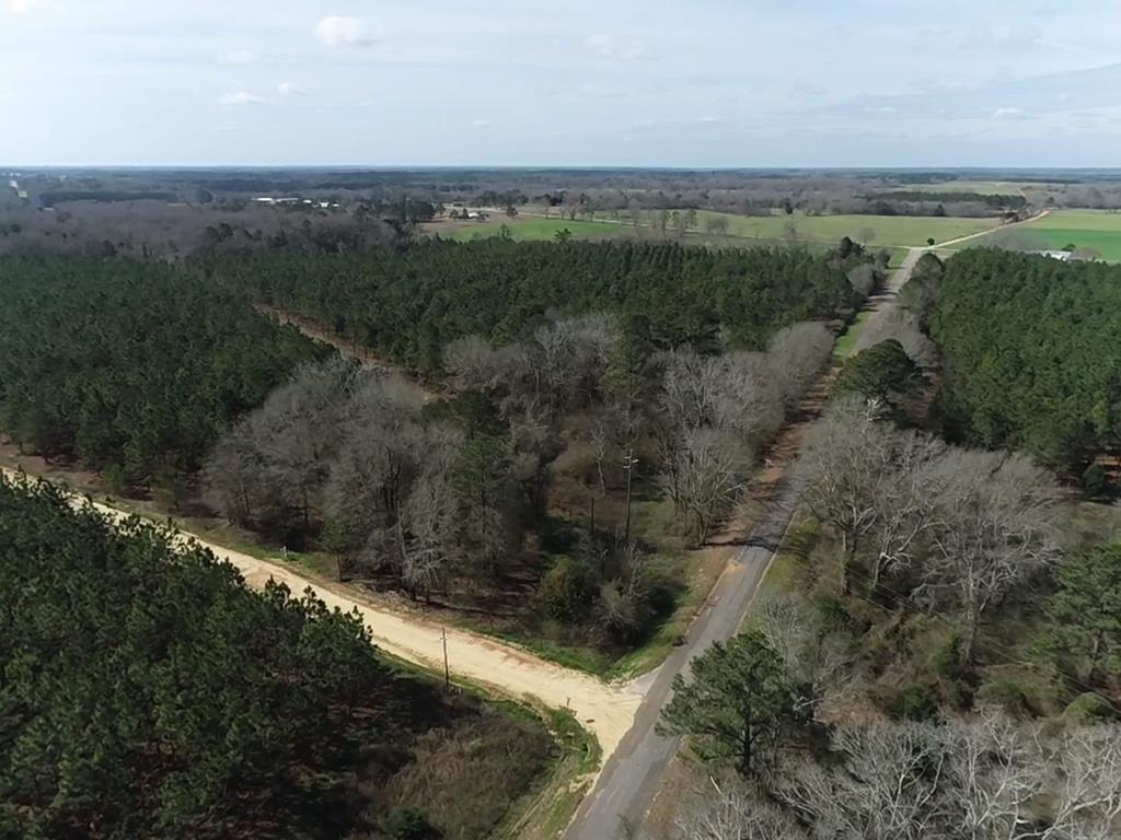 140/ Cty Road Headland, AL 36345 - Photo 29 of 33