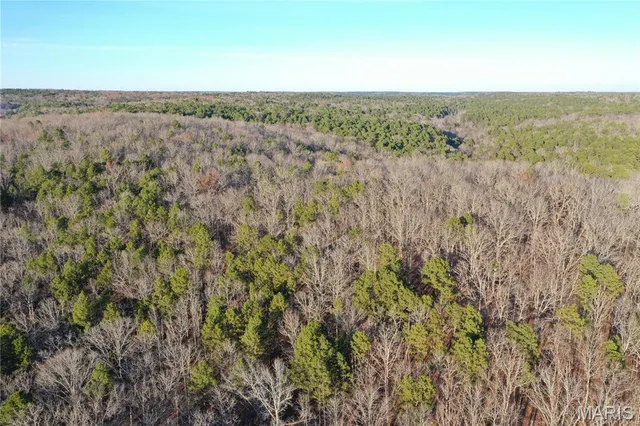 $89,900 | 426 County Road 426, Poplar Bluff, MO 63901