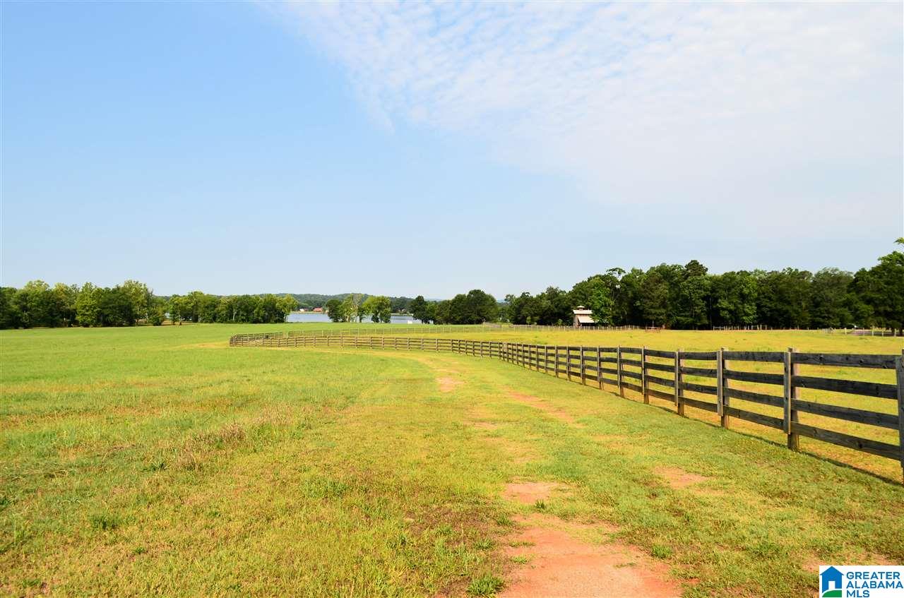 4683 Mcgowans Ferry Road Childersburg, AL 35044 - Photo 3 of 46