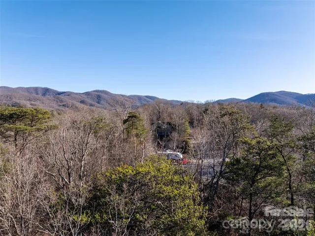 a view of a mountain range with trees in the background