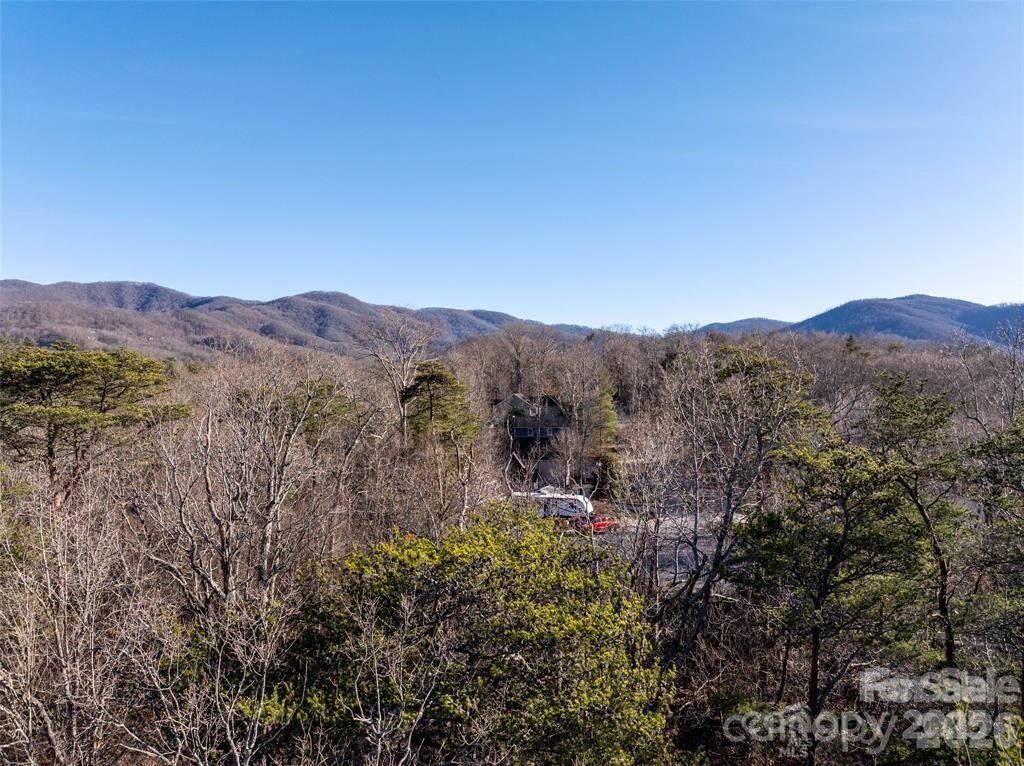 477 Rowland Rd. Swannanoa, NC 28778 - Photo 6 of 17