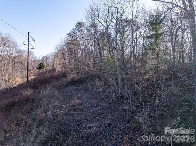 a view of a mountain in the distance