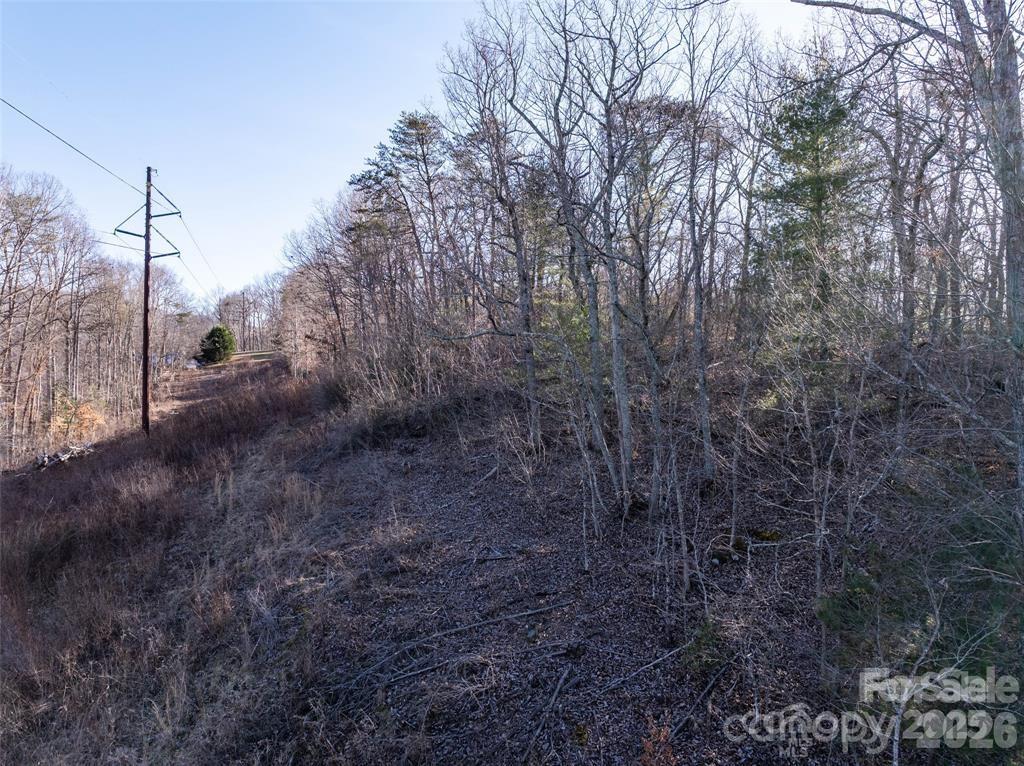 477 Rowland Rd. Swannanoa, NC 28778 - Photo 8 of 17