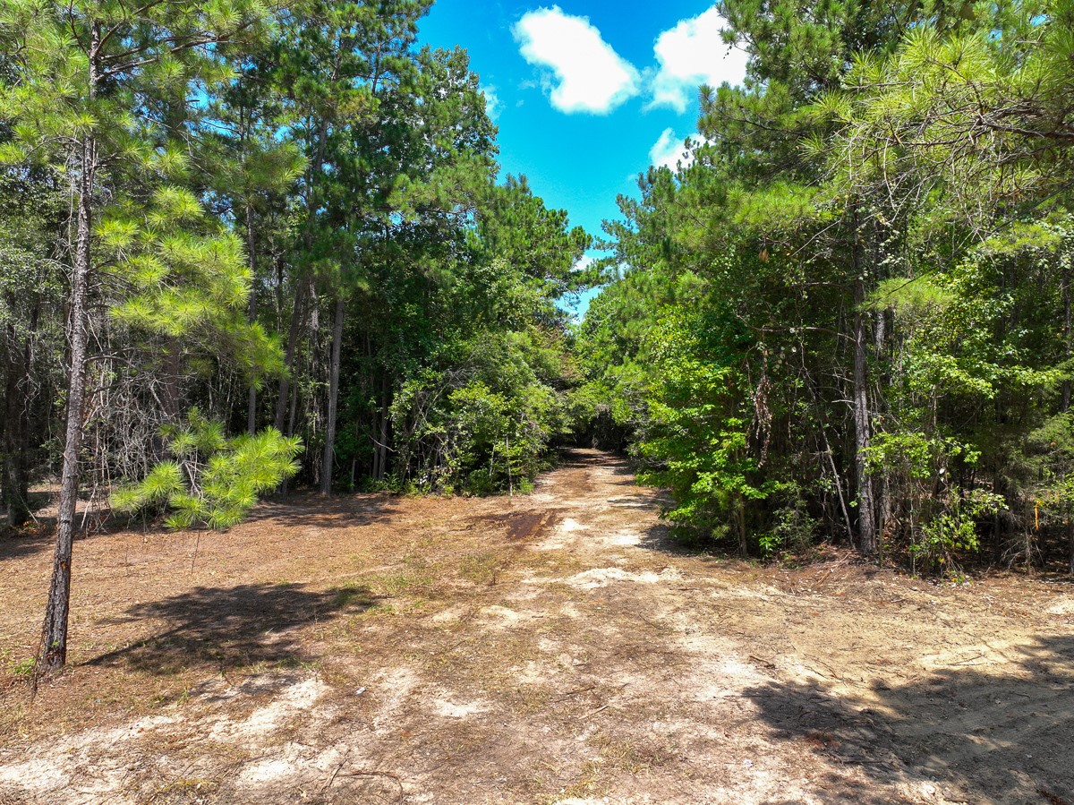 S2-l1 Lake Pool Road Shepherd, TX 77371 - Photo 4 of 11