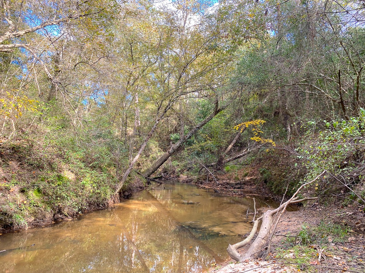 S2-l1 Lake Pool Road Shepherd, TX 77371 - Photo 5 of 11