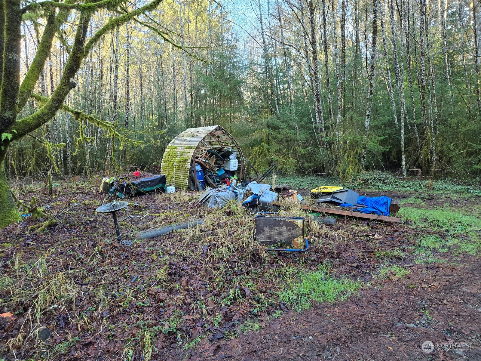 211 Lund Road Cosmopolis, WA 98537 - Photo 5 of 10 Gallery Image 5