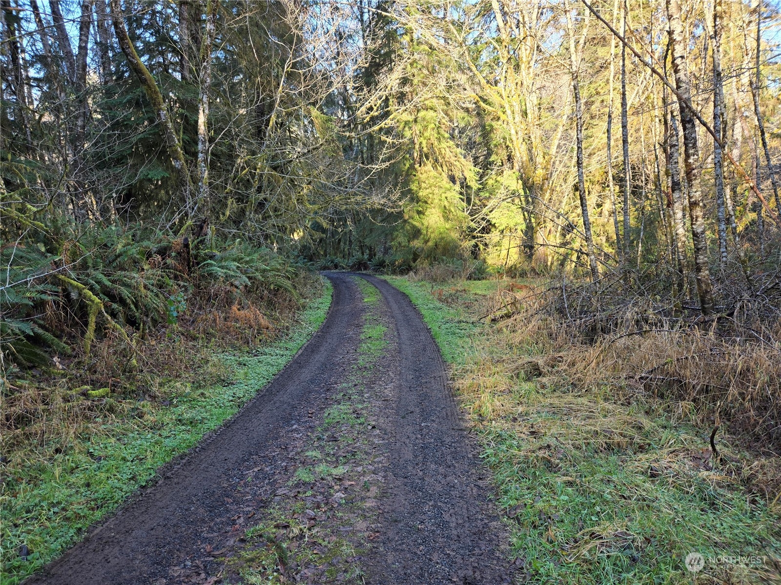 211 Lund Road Cosmopolis, WA 98537 - Photo 7 of 10 Gallery Image 7