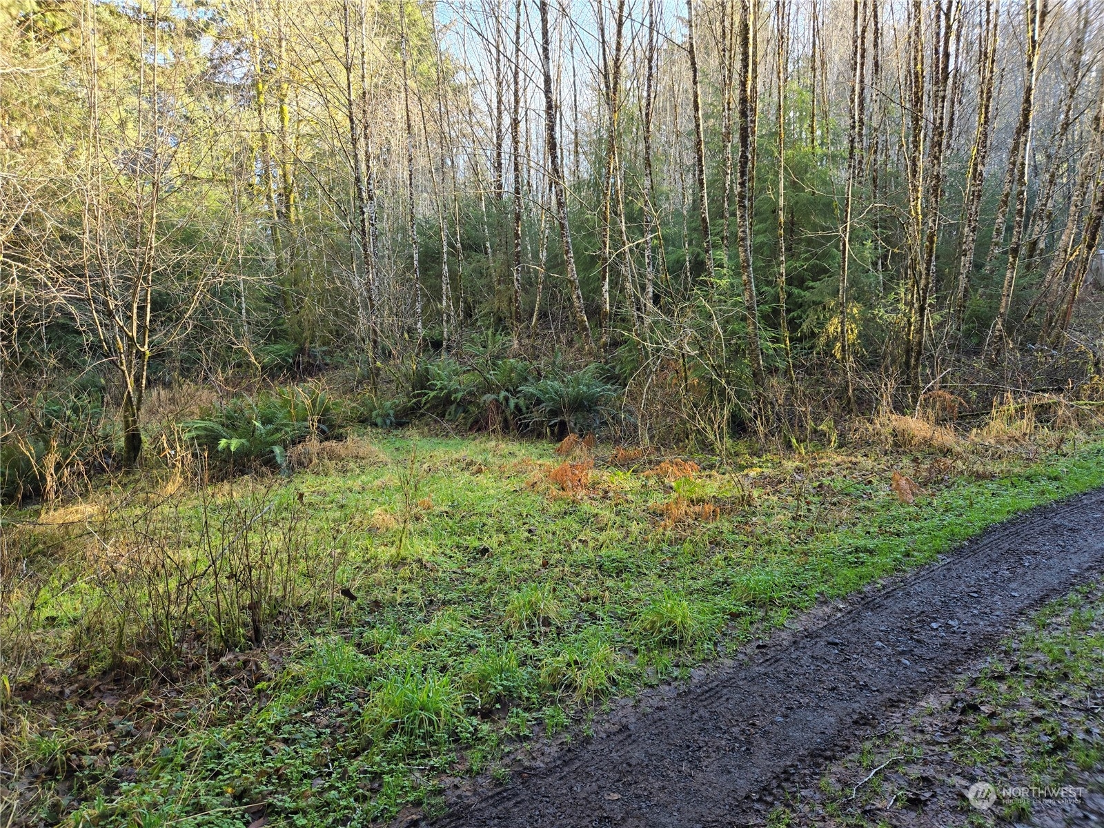 211 Lund Road Cosmopolis, WA 98537 - Photo 8 of 10 Gallery Image 8