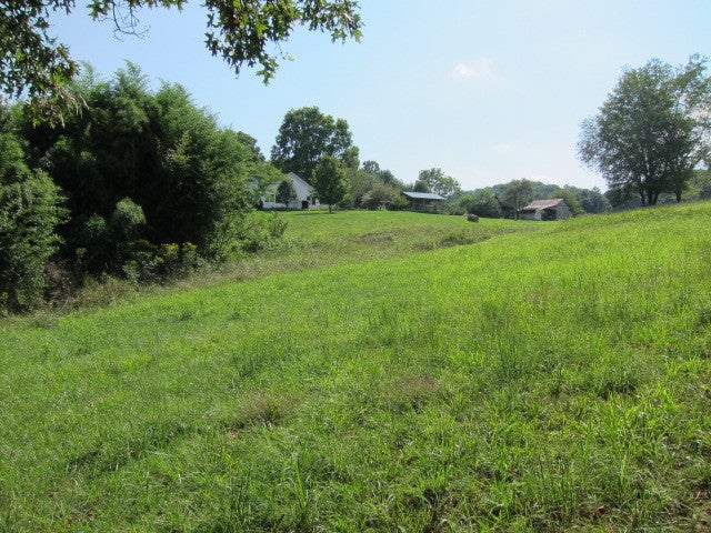 2025 Pete Lynch Road Secondcreek, WV 24974 - Photo 72 of 94 Lower field area, towards Second Creek.