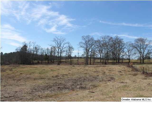 9 Highway 9, Unit 84 Lineville, AL 36266 - Photo 15 of 16