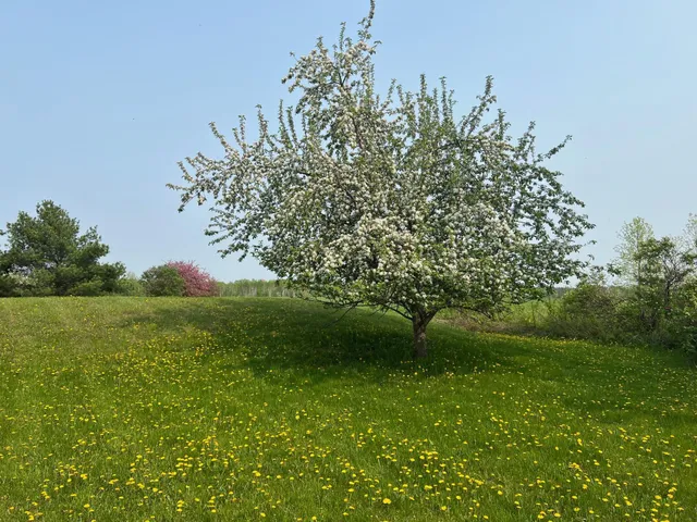 $299,900 | 39596 10th Avenue, Isle, MN 56342