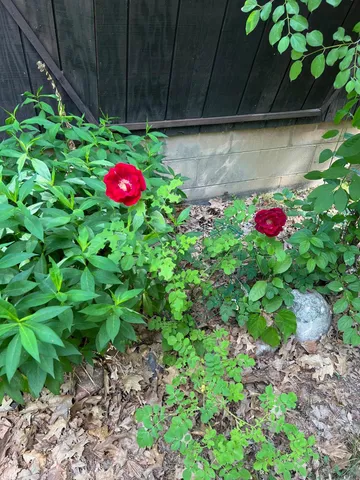 $299,900 | 39596 10th Avenue, Isle, MN 56342