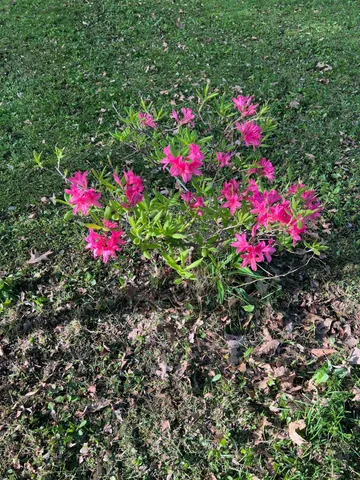 $299,900 | 39596 10th Avenue, Isle, MN 56342