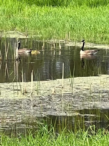 $299,900 | 39596 10th Avenue, Isle, MN 56342