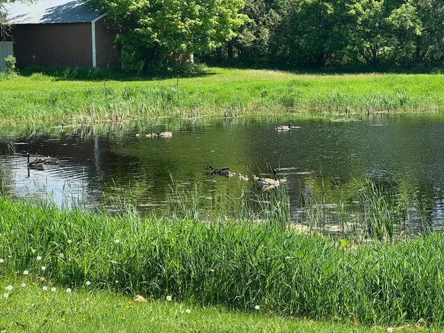 $299,900 | 39596 10th Avenue, Isle, MN 56342