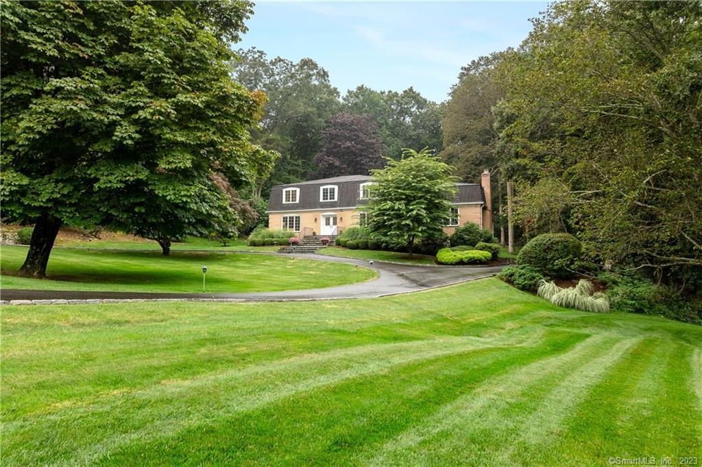 a view of a big yard with plants and large trees
