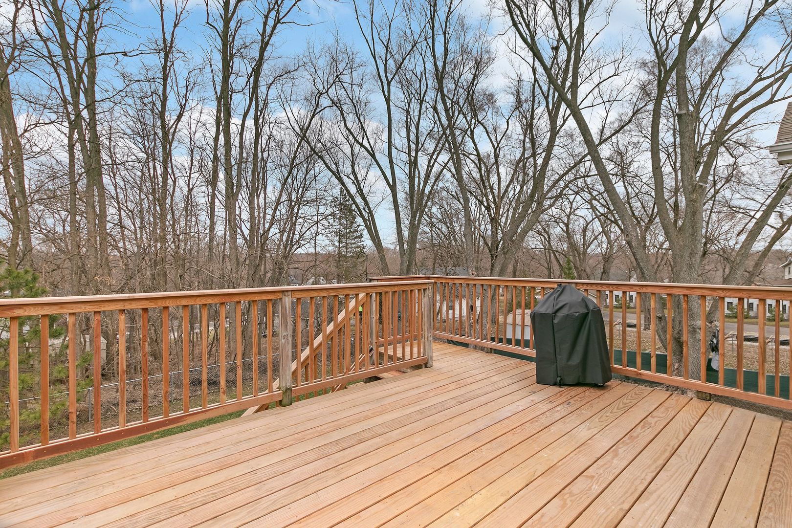 38126 North Dewey Street Spring Grove, IL 60081 - Photo 19 of 21 Gallery Image 19