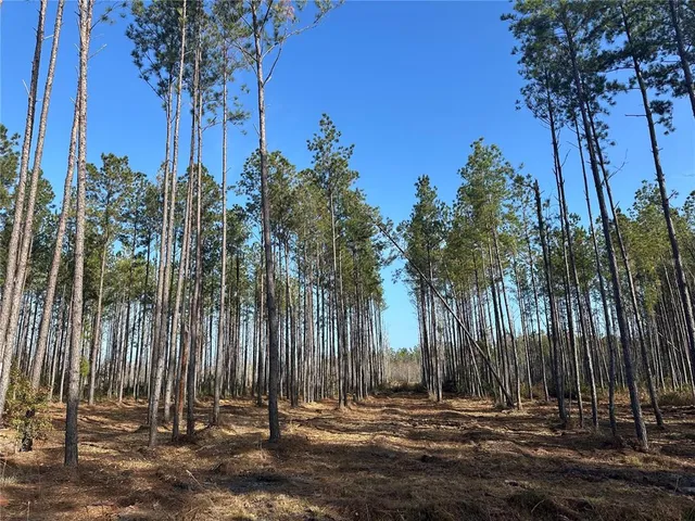 $74,900 | Tbd Northwest 133rd Lane, Lake Butler, FL 32054