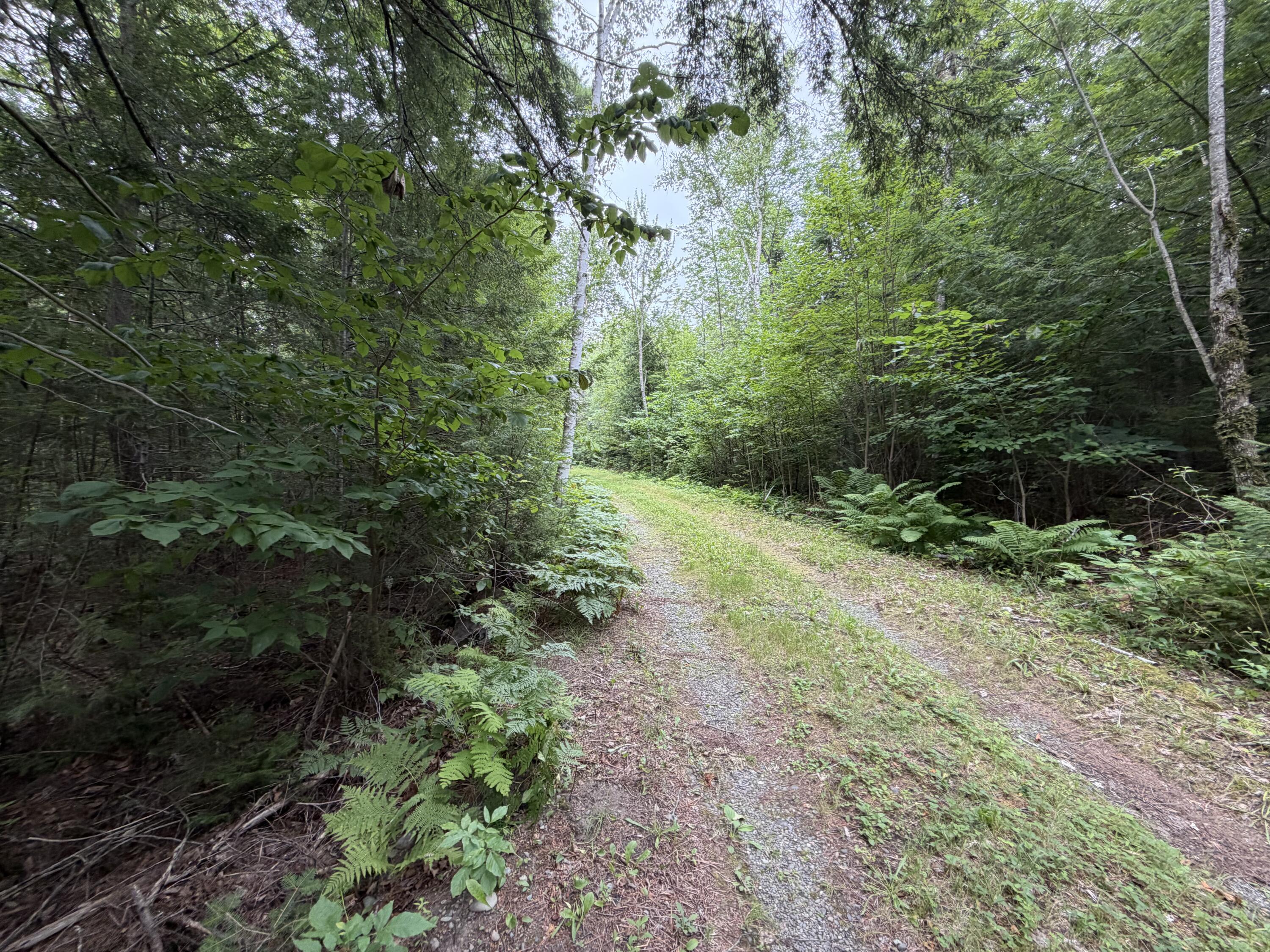L21 Huff Road Danforth, ME 04424 - Photo 1 of 5 IMG_6300