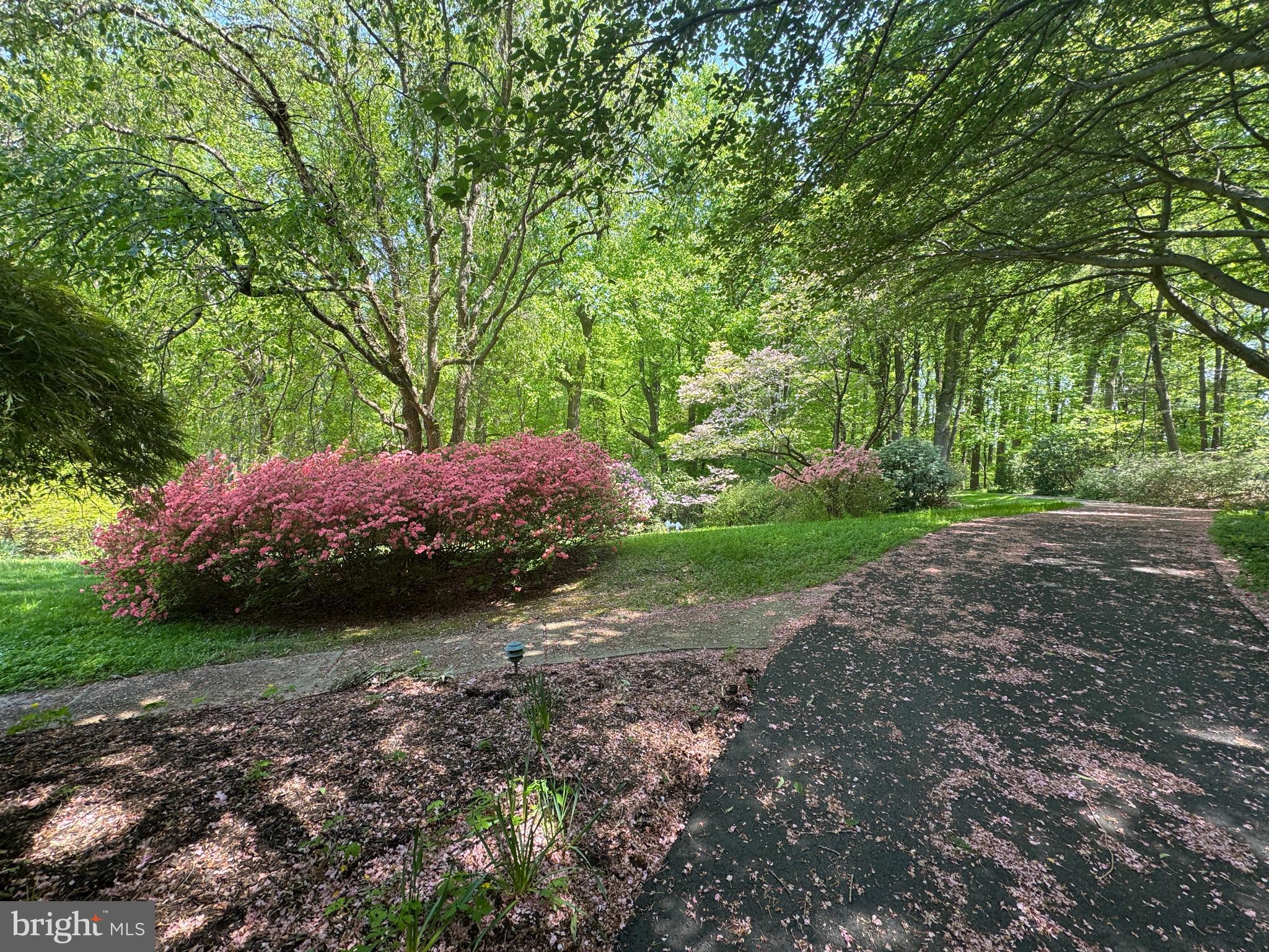 6008 Fork Woods Road Baldwin, MD 21013 - Photo 10 of 12 a view of a backyard with large trees