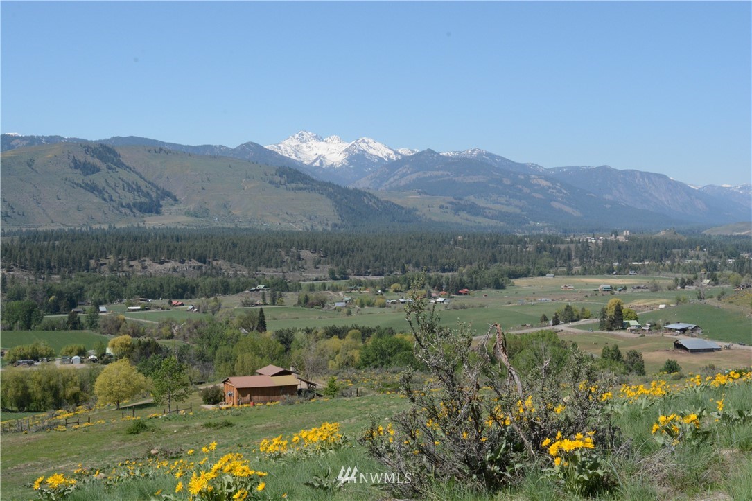 100 Prospect Road Winthrop, WA 98862 - Photo 3 of 19 Gallery Image 3