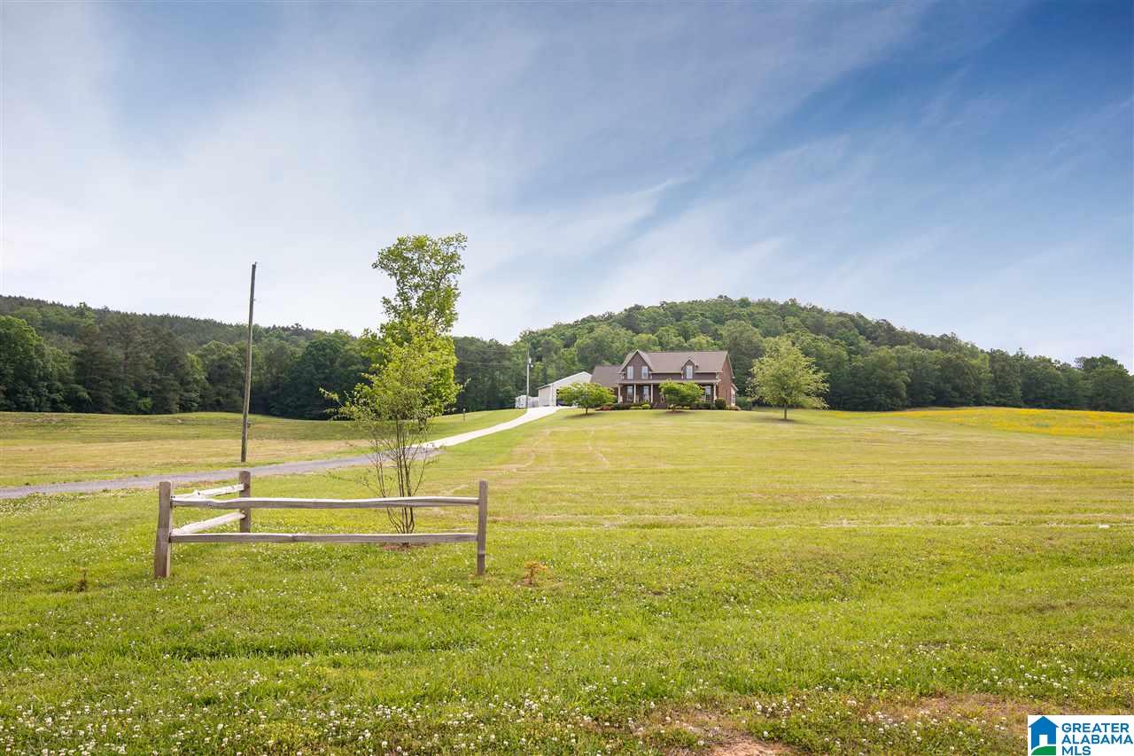 741 Robbins Branch Road Altoona, AL 35952 - Photo 42 of 50 Gallery Image 42