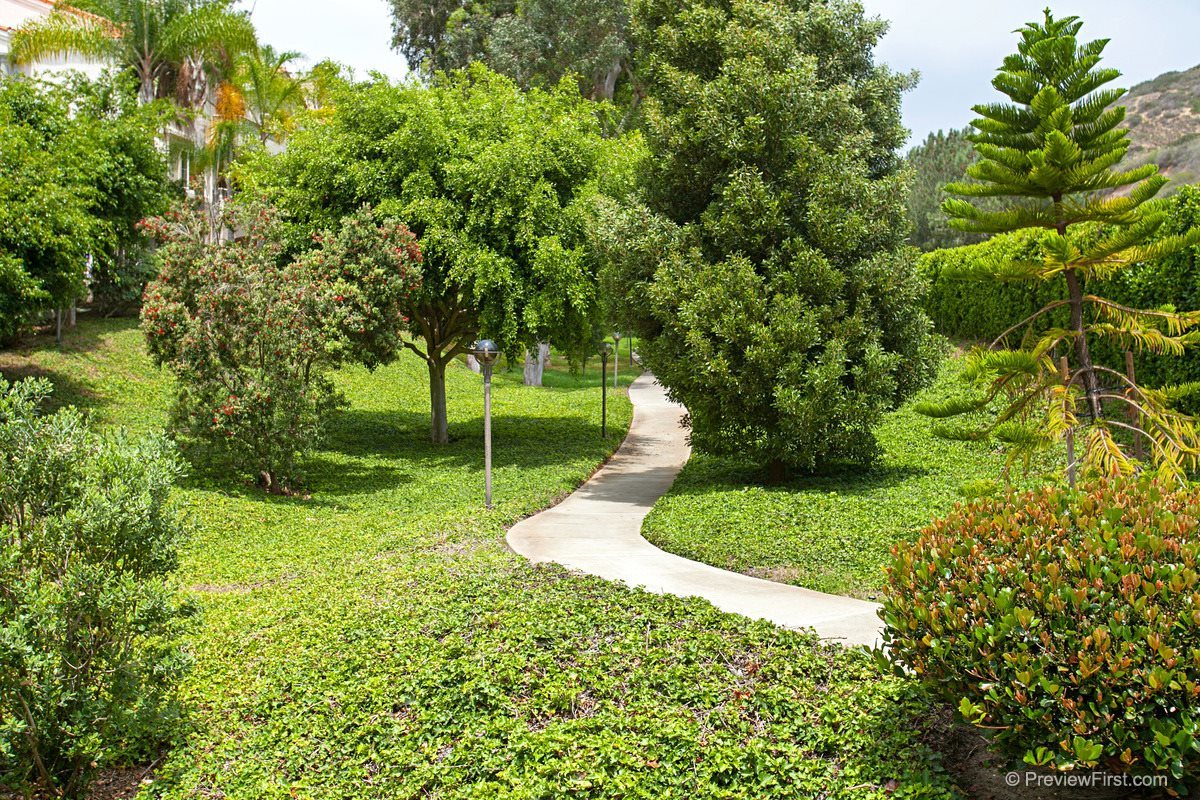 2884 Torrey Pines Road La Jolla, CA 92037 - Photo 22 of 25