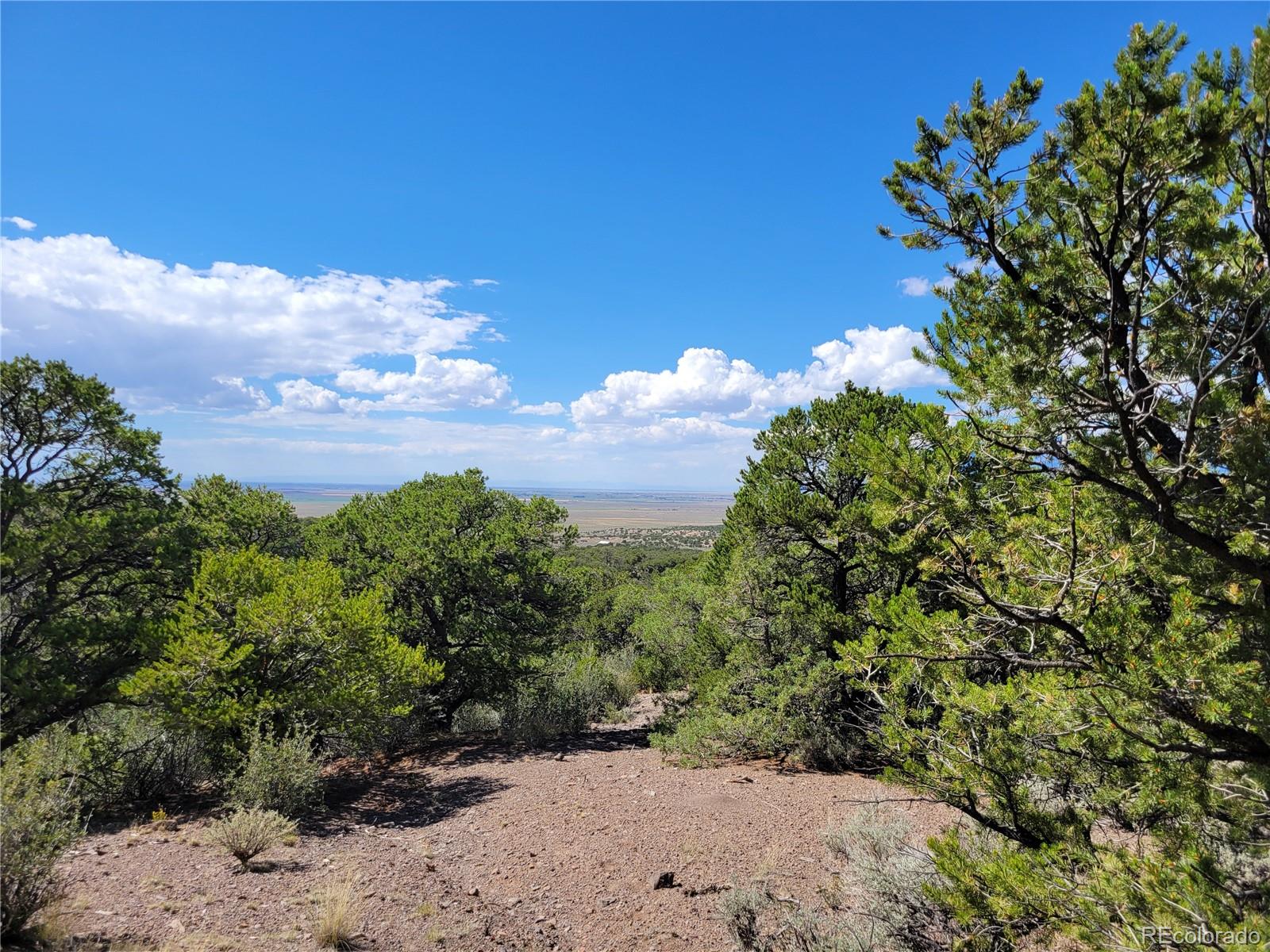 0 Apple Road Fort Garland, CO 81133 - Photo 6 of 16 Gallery Image 6