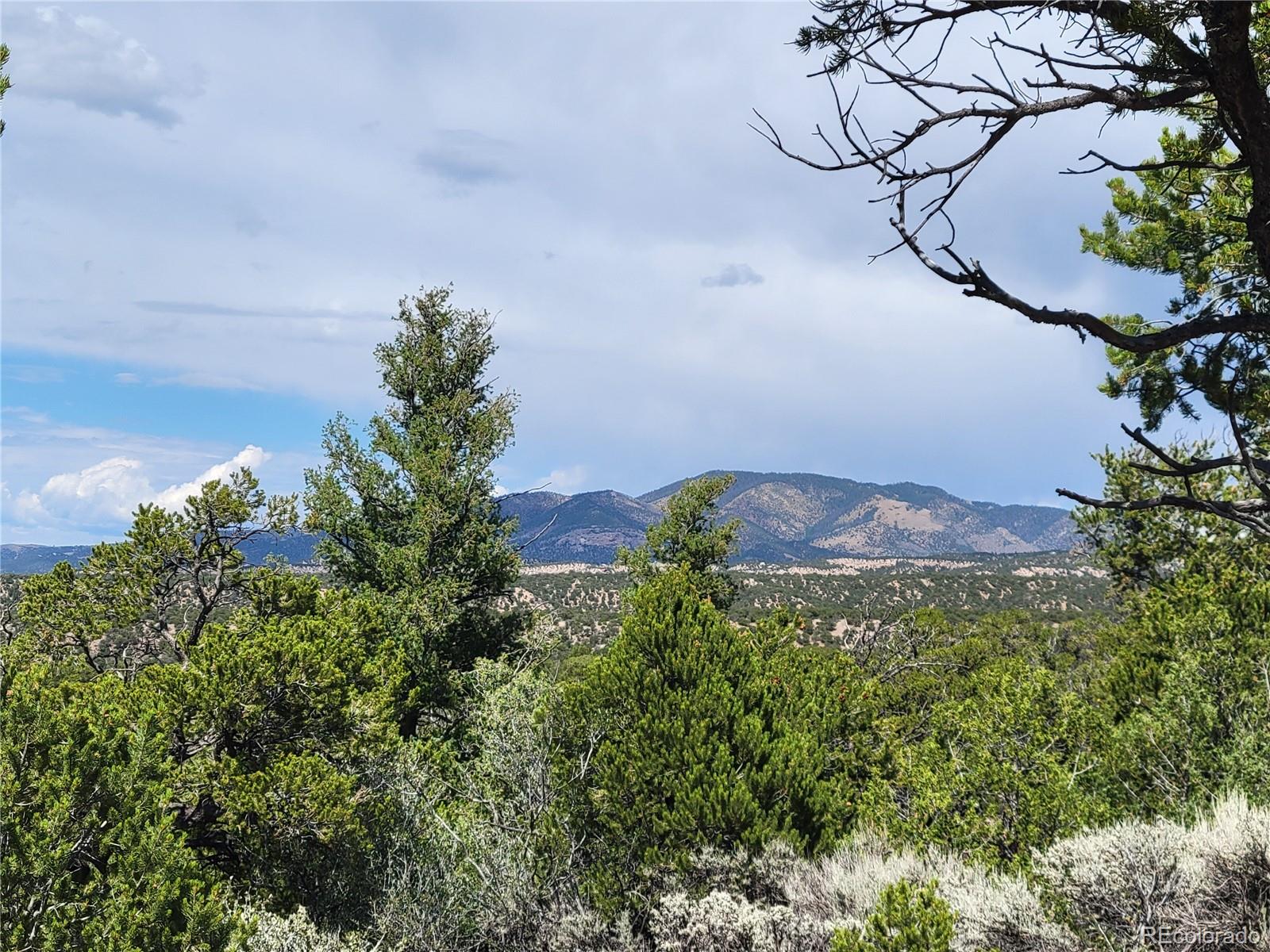 0 Apple Road Fort Garland, CO 81133 - Photo 7 of 16 Gallery Image 7