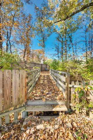a view of a yard with large tree