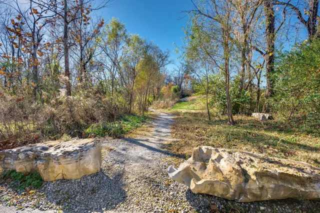 a view of a yard with large trees
