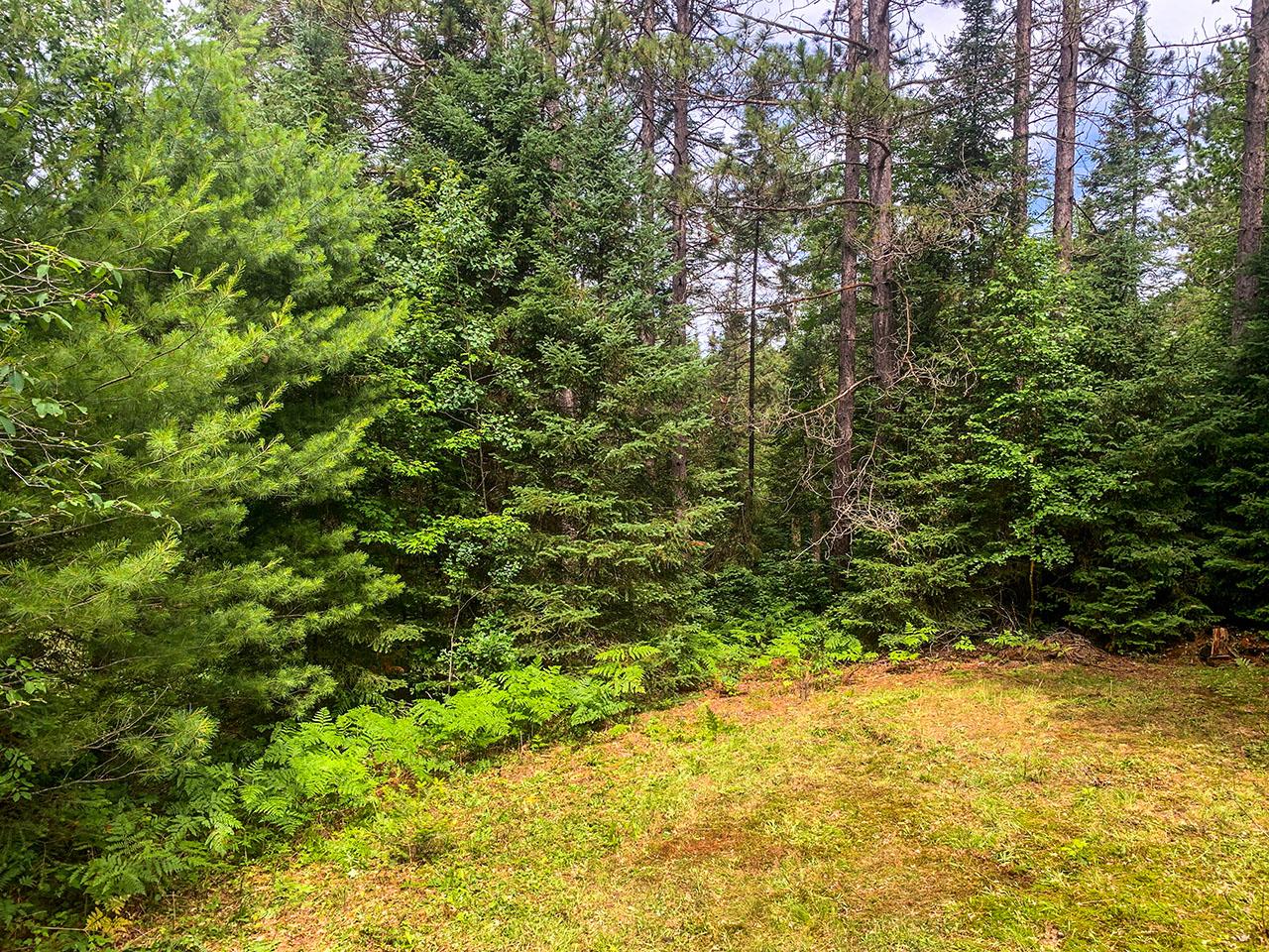 2442 Quiet Cove Road Tomahawk, WI 54487 - Photo 5 of 12 Gallery Image 5