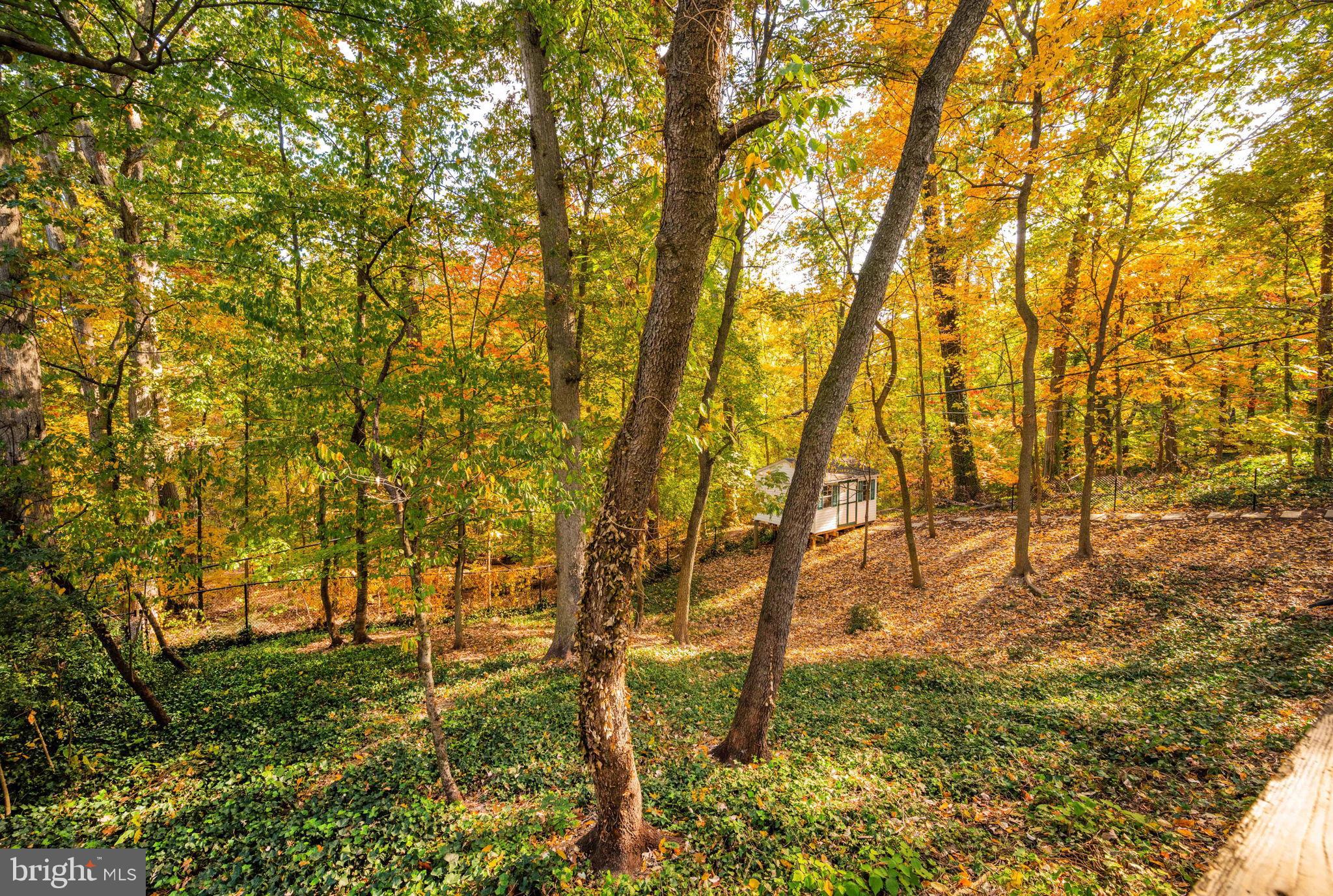 3203 Circle Hill Road Alexandria, VA 22305 - Photo 41 of 48 a view of yard