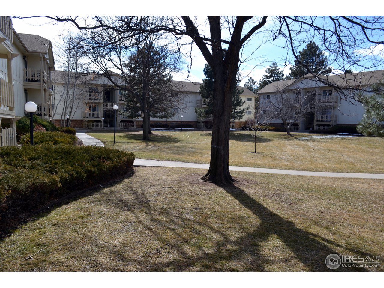 1024 East Swallow Road, Unit 121 Fort Collins, CO 80525 - Photo 17 of 21 Gallery Image 17