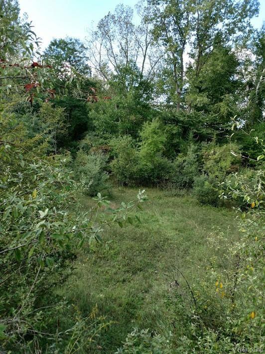 Parcel B Castle Road Otter Lake, MI 48464 - Photo 3 of 6