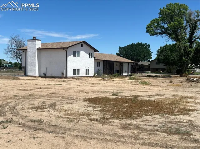 a palm tree sitting in front of a house