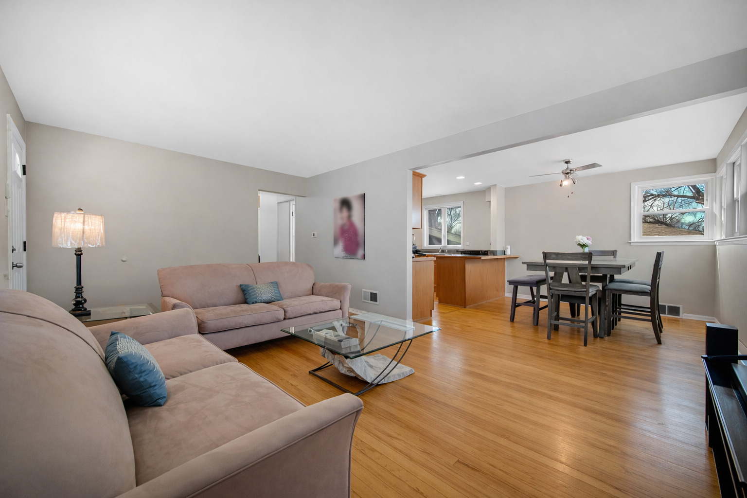 21308 Tower Avenue Matteson, IL 60443 - Photo 3 of 14