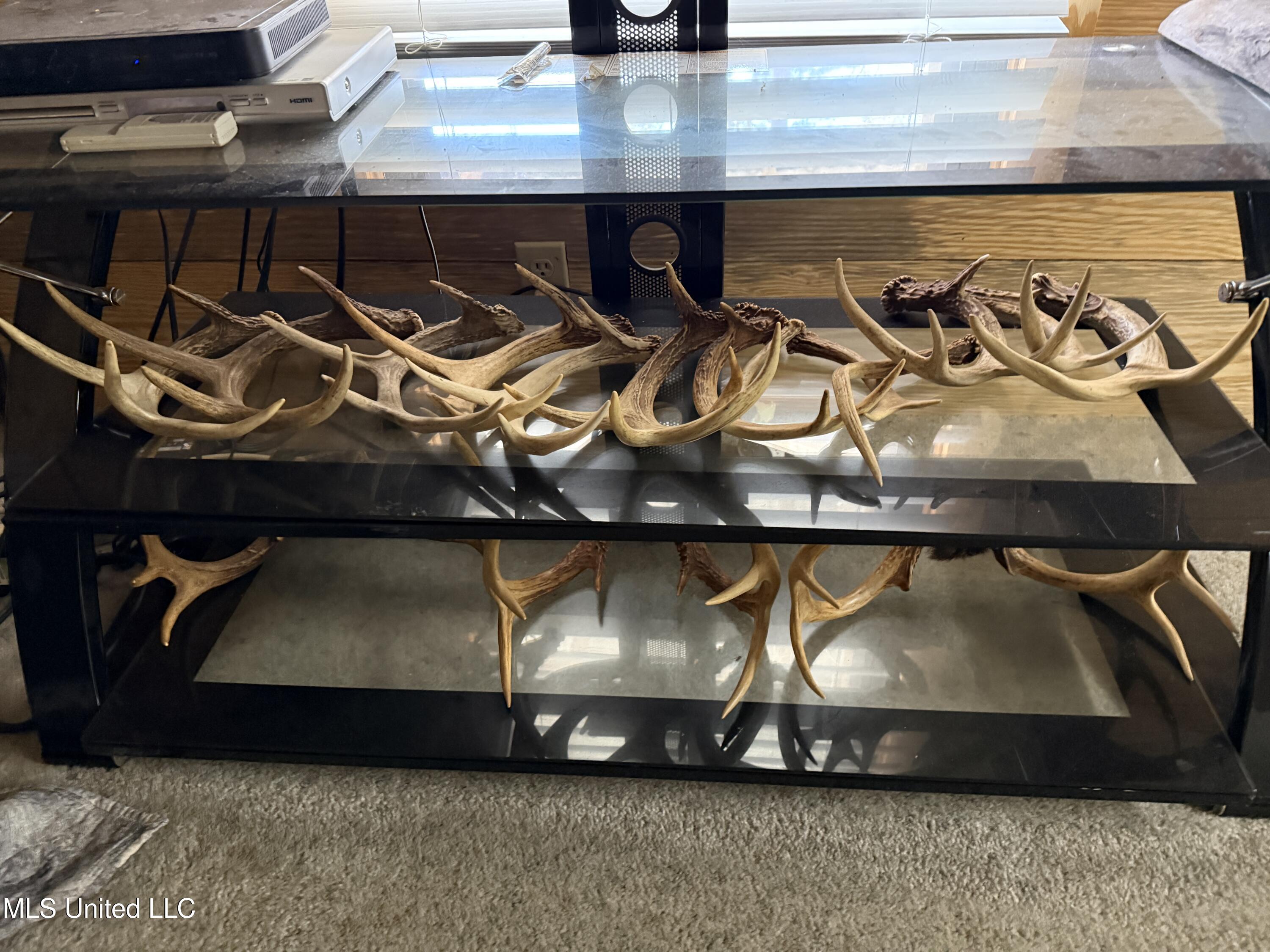 114 Huff Lane Roxie, MS 39661 - Photo 12 of 54 IMG_0437