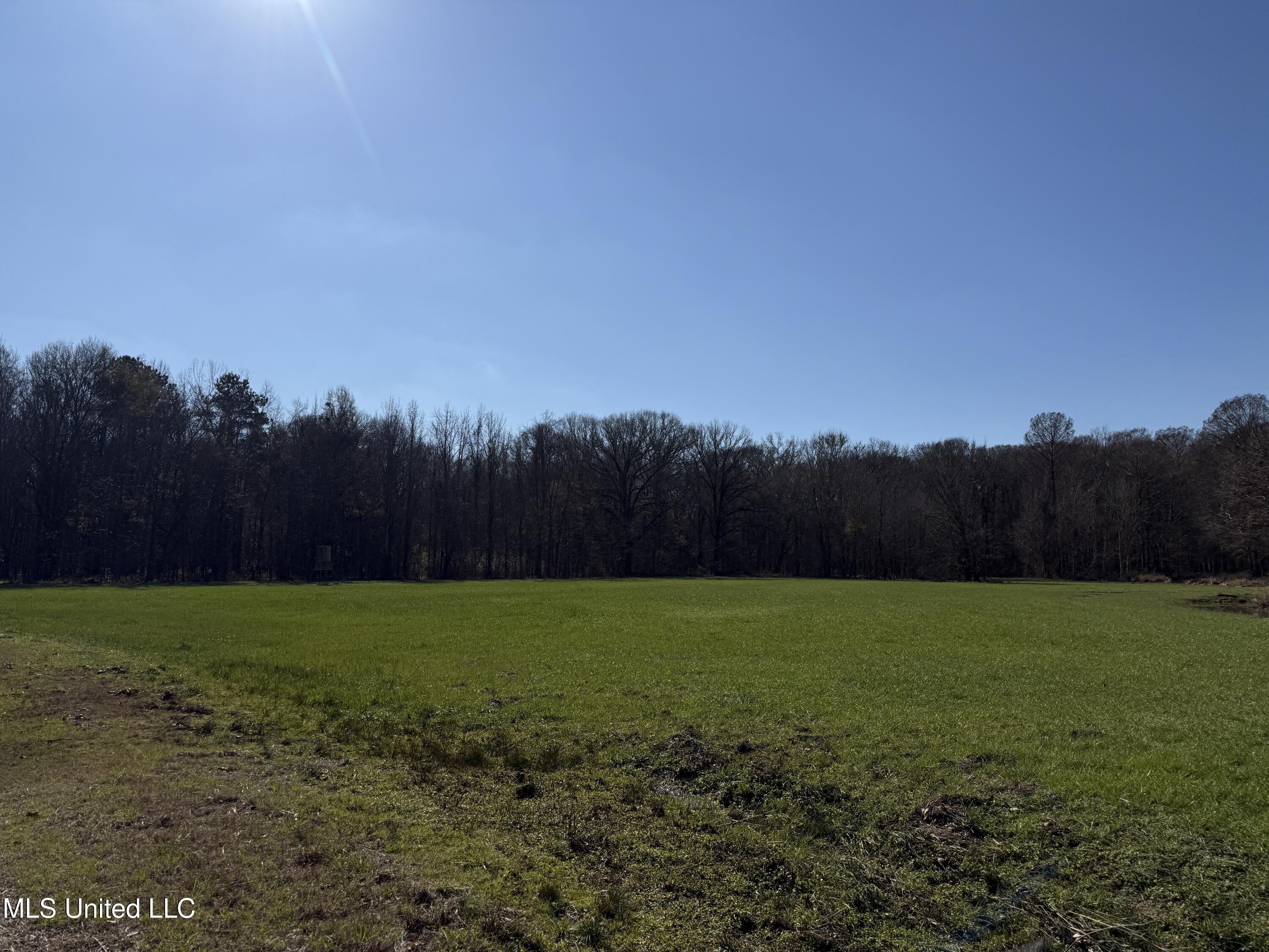 114 Huff Lane Roxie, MS 39661 - Photo 29 of 54 IMG_0445