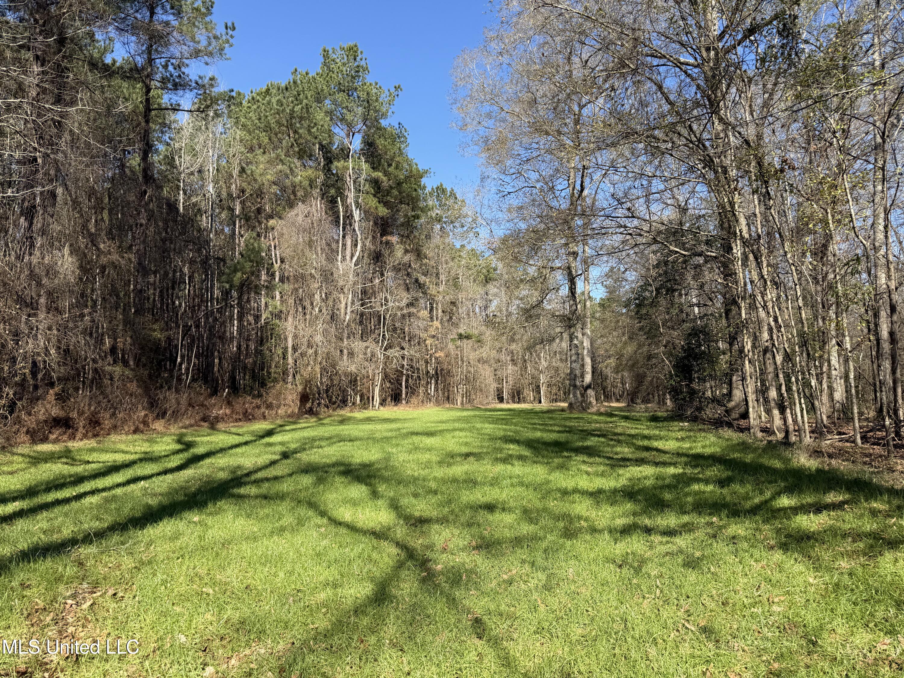 114 Huff Lane Roxie, MS 39661 - Photo 32 of 54 IMG_0506